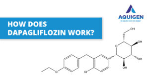 HOW DOES DAPAGLIFLOZIN WORK?