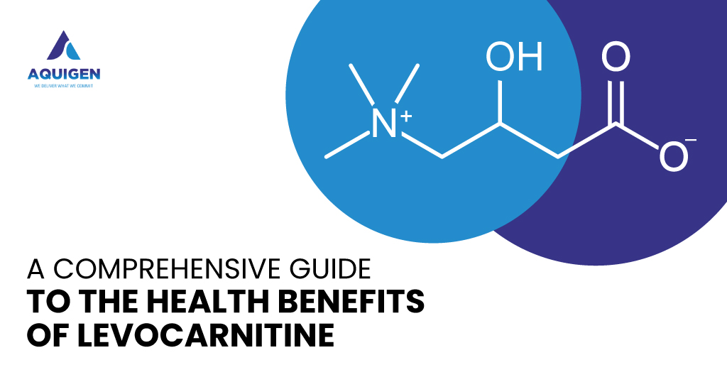 A COMPREHENSIVE GUIDE TO THE HEALTH BENEFITS OF LEVOCARNITINE