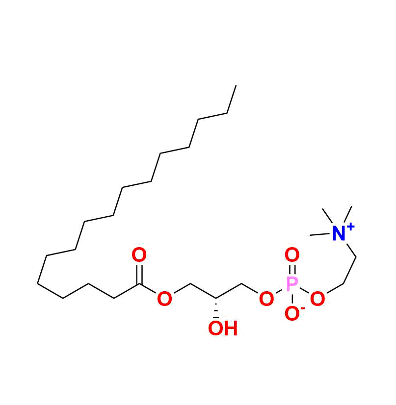 Stearoyl Lysophosphatidylcholine