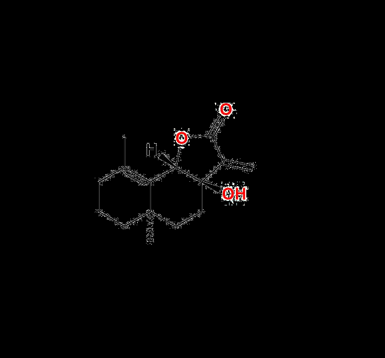 7-Hydroxy Frullanolide