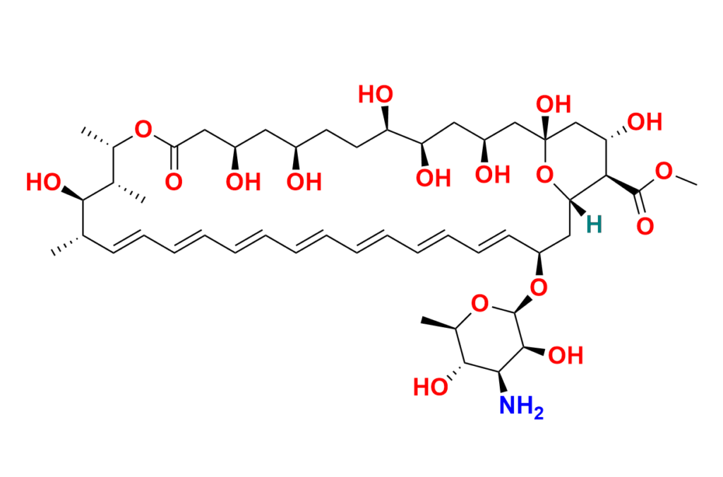 Amphotericin B-13C6