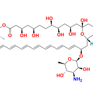 Amphotericin B-13C6