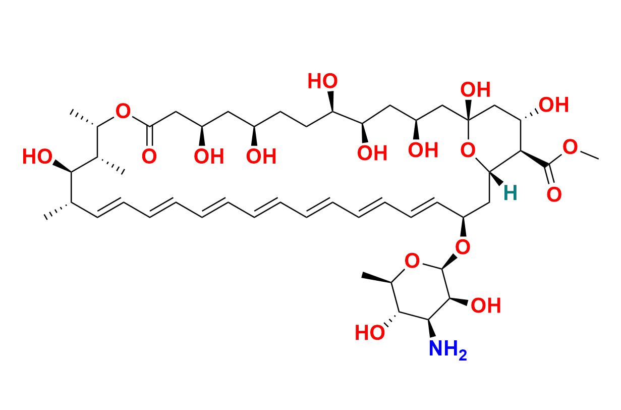 Amphotericin B-13C6