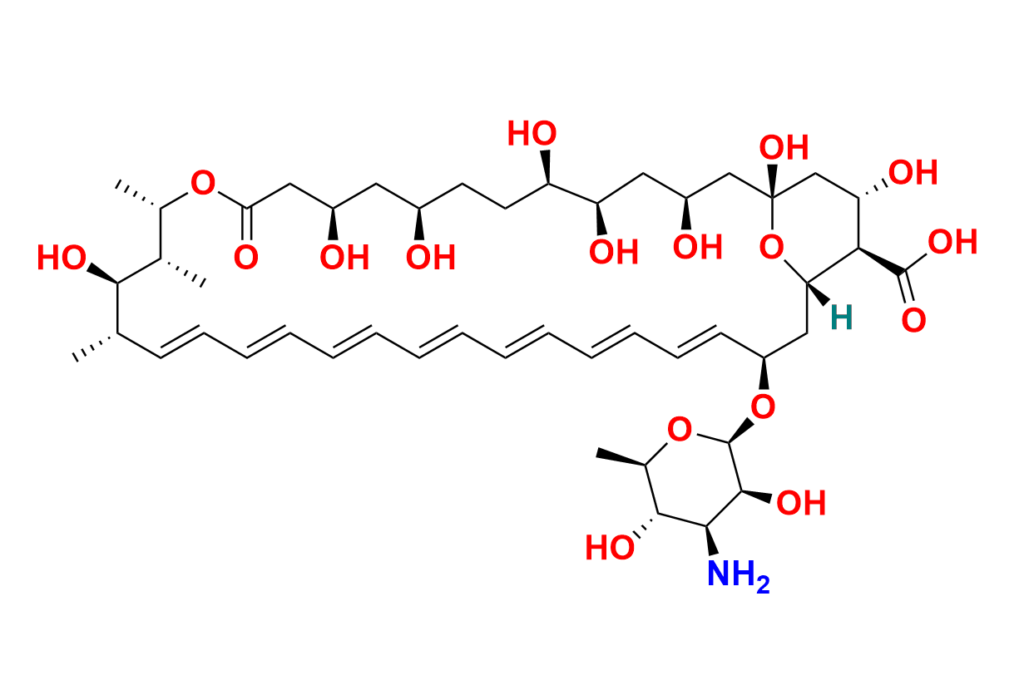 Amphotericin B-13C6