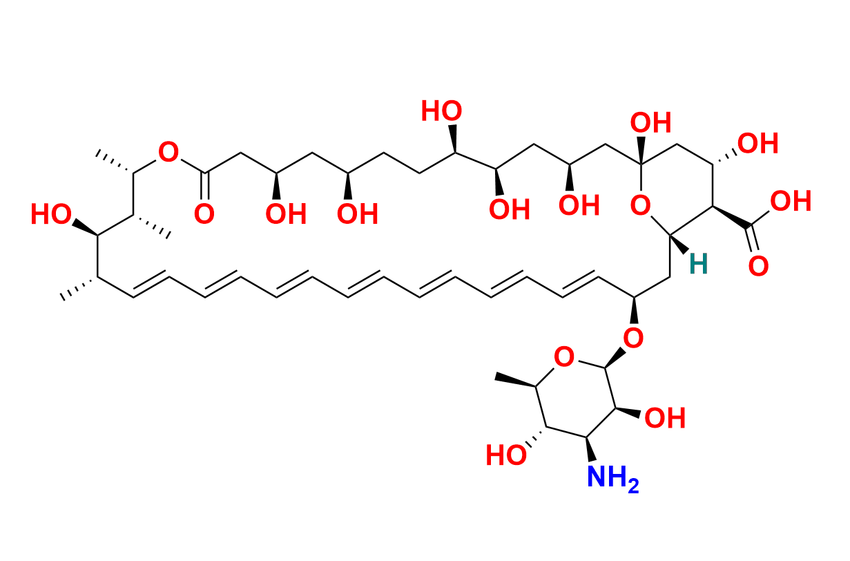 Amphotericin B-13C6