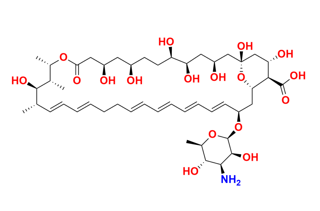 Amphotericin B-13C6