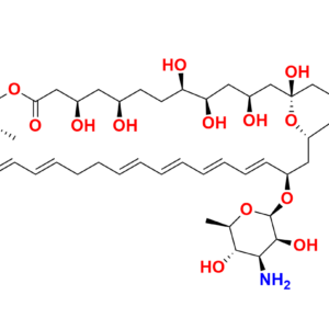 Amphotericin B-13C6