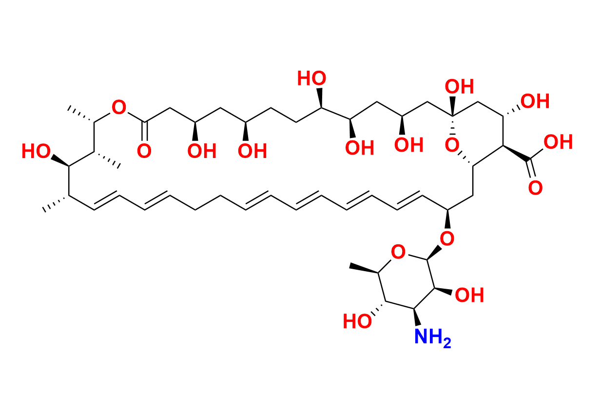 Amphotericin B-13C6