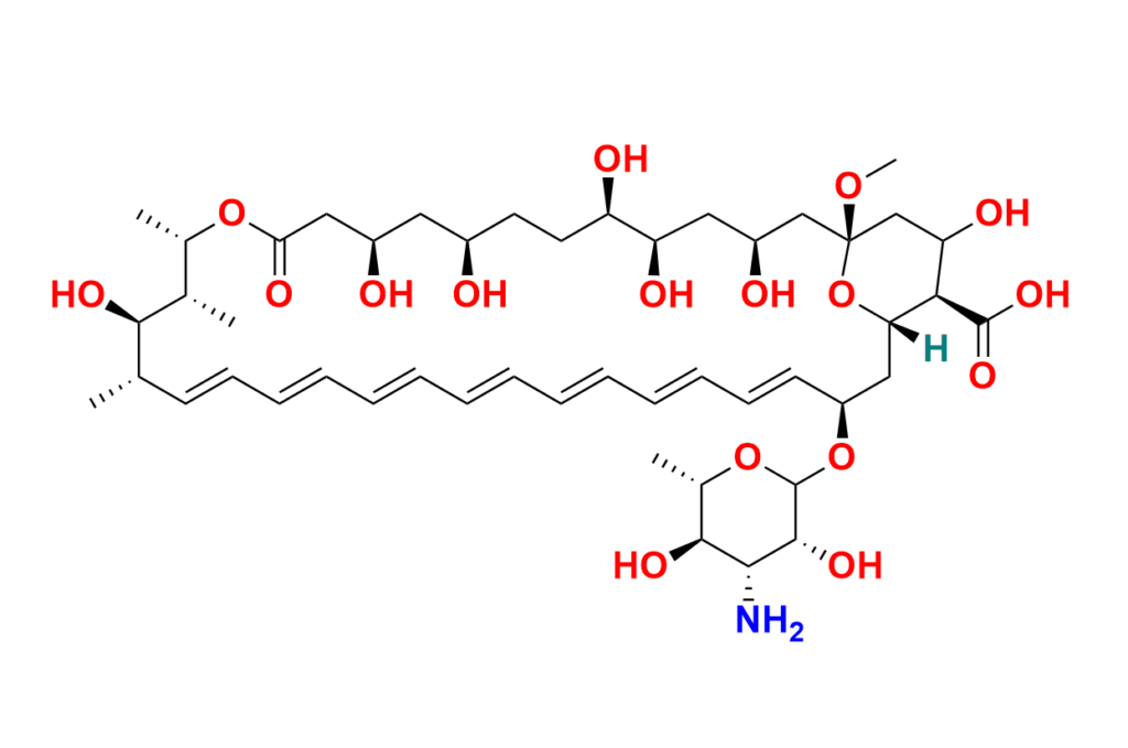 Amphotericin B-13C6