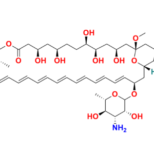 Amphotericin B-13C6