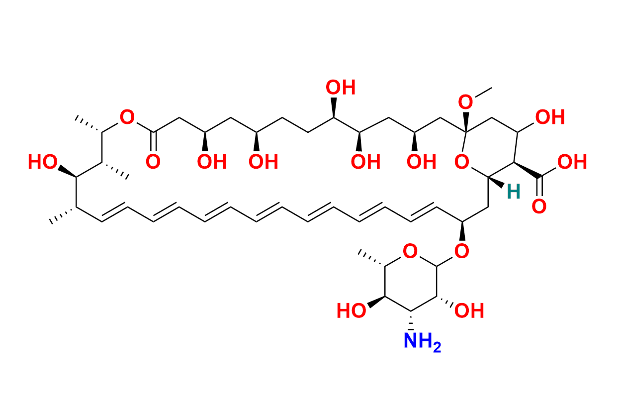 Amphotericin B-13C6