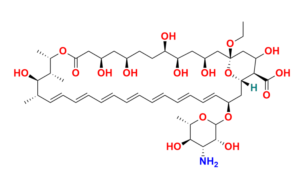 Amphotericin B-13C6