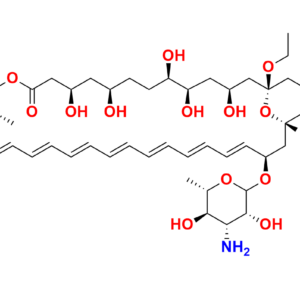 Amphotericin B-13C6