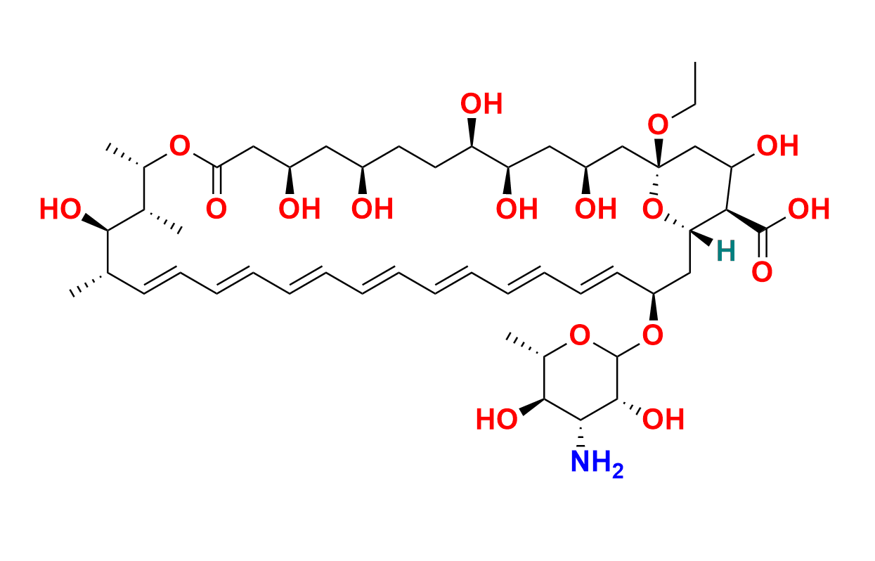 Amphotericin B-13C6