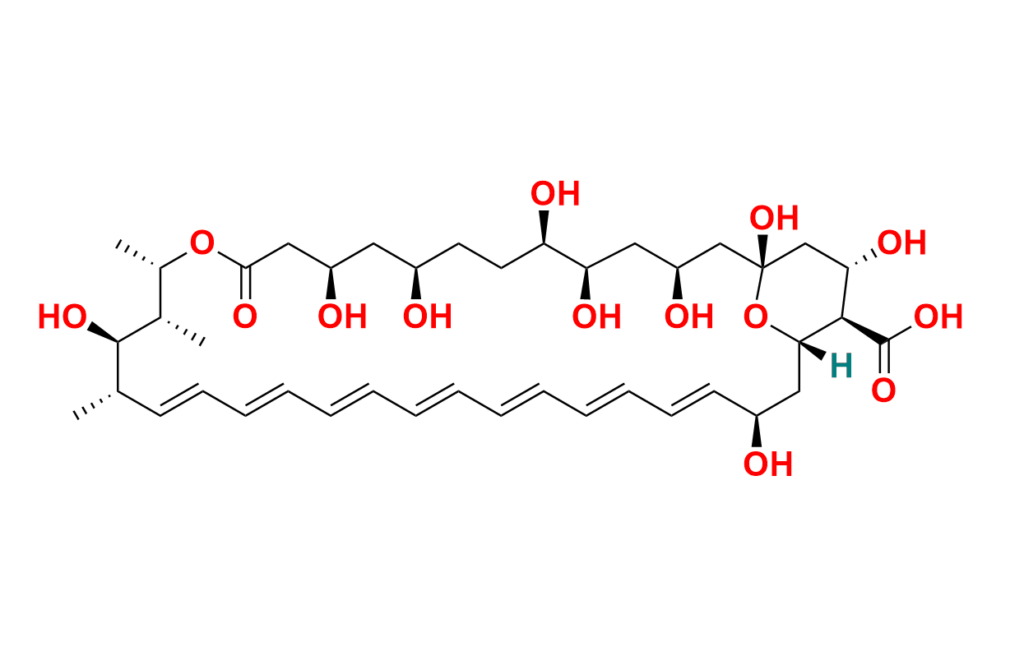 Amphoteronolide B