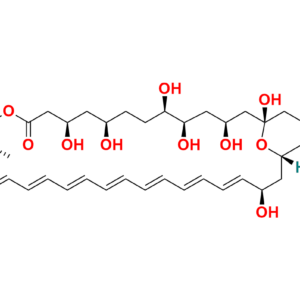 Amphoteronolide B