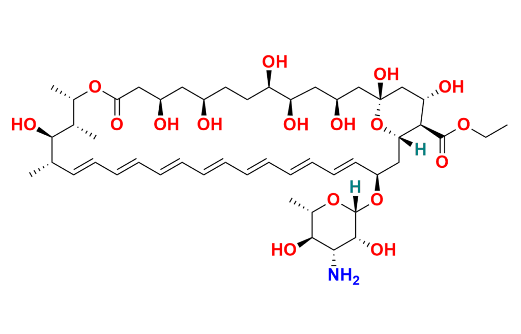 Amphotericin B-13C6