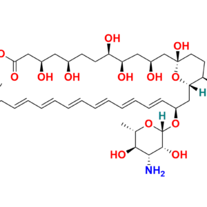 Amphotericin B-13C6