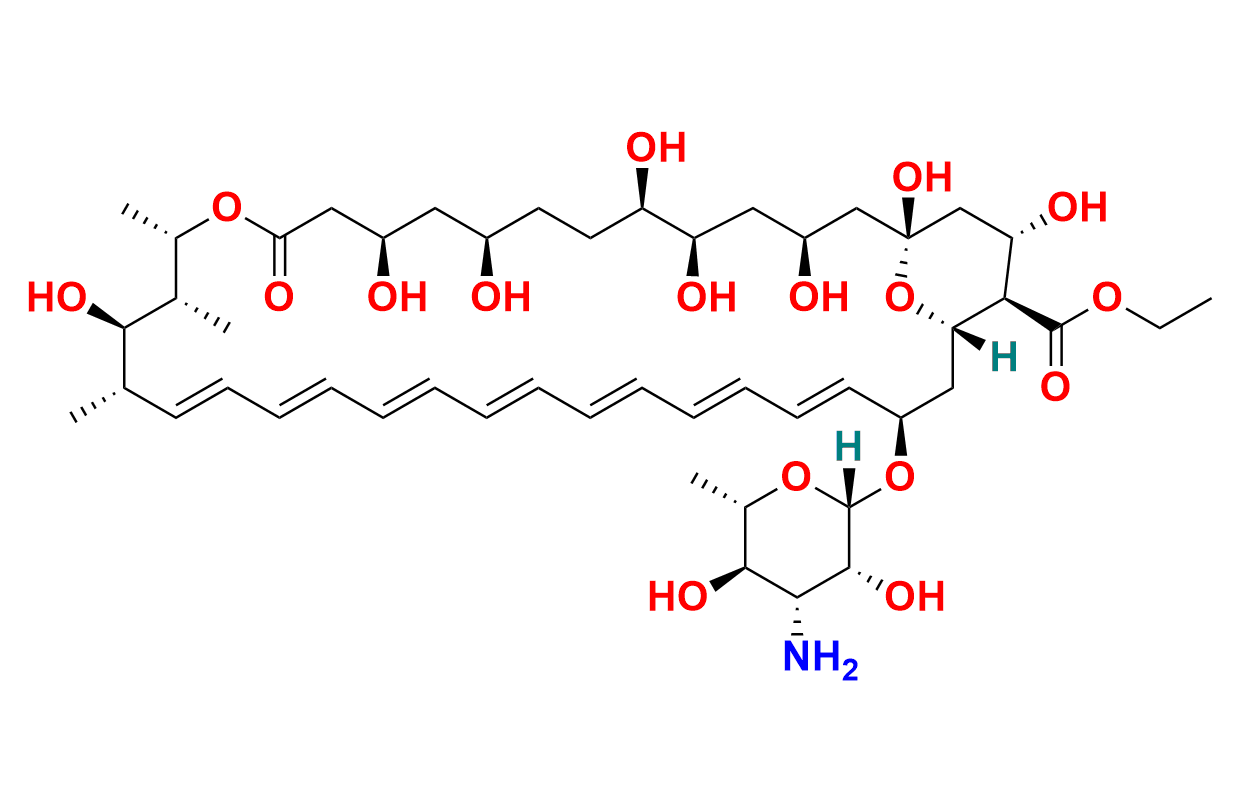 Amphotericin B-13C6