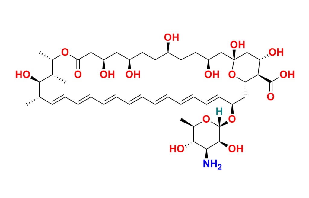 Amphotericin B-13C6