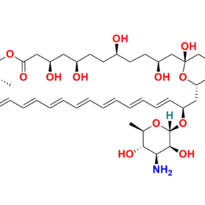 Amphotericin B-13C6