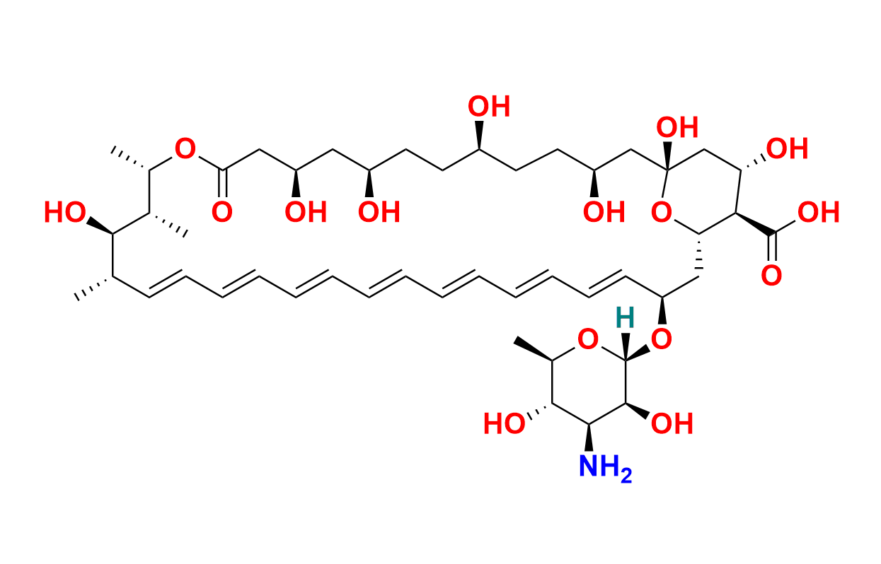 Amphotericin B-13C6