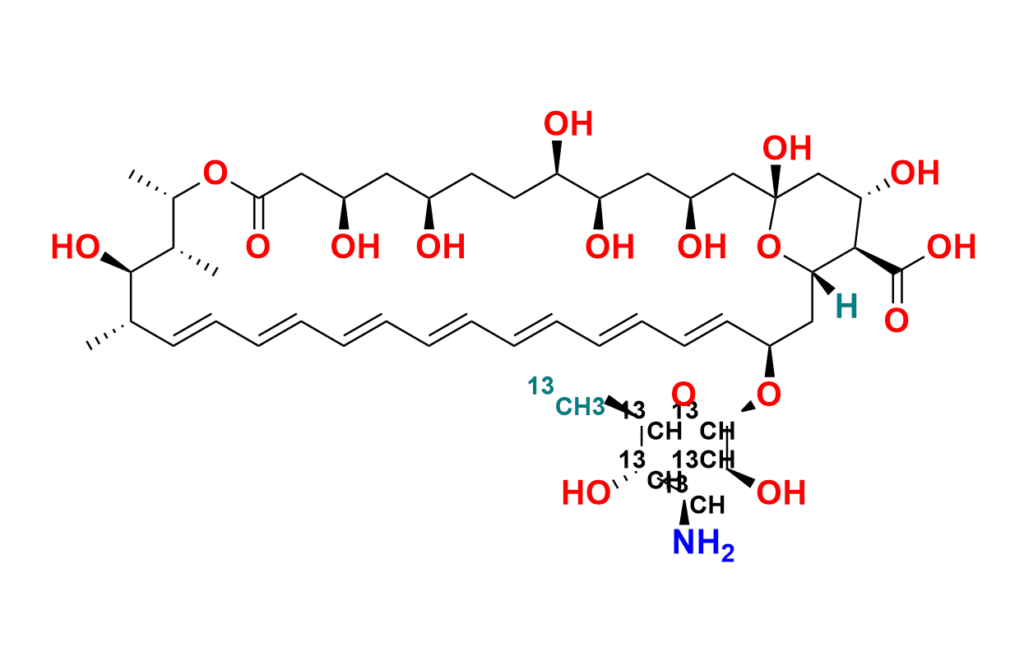 Amphotericin B-13C6