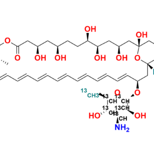 Amphotericin B-13C6