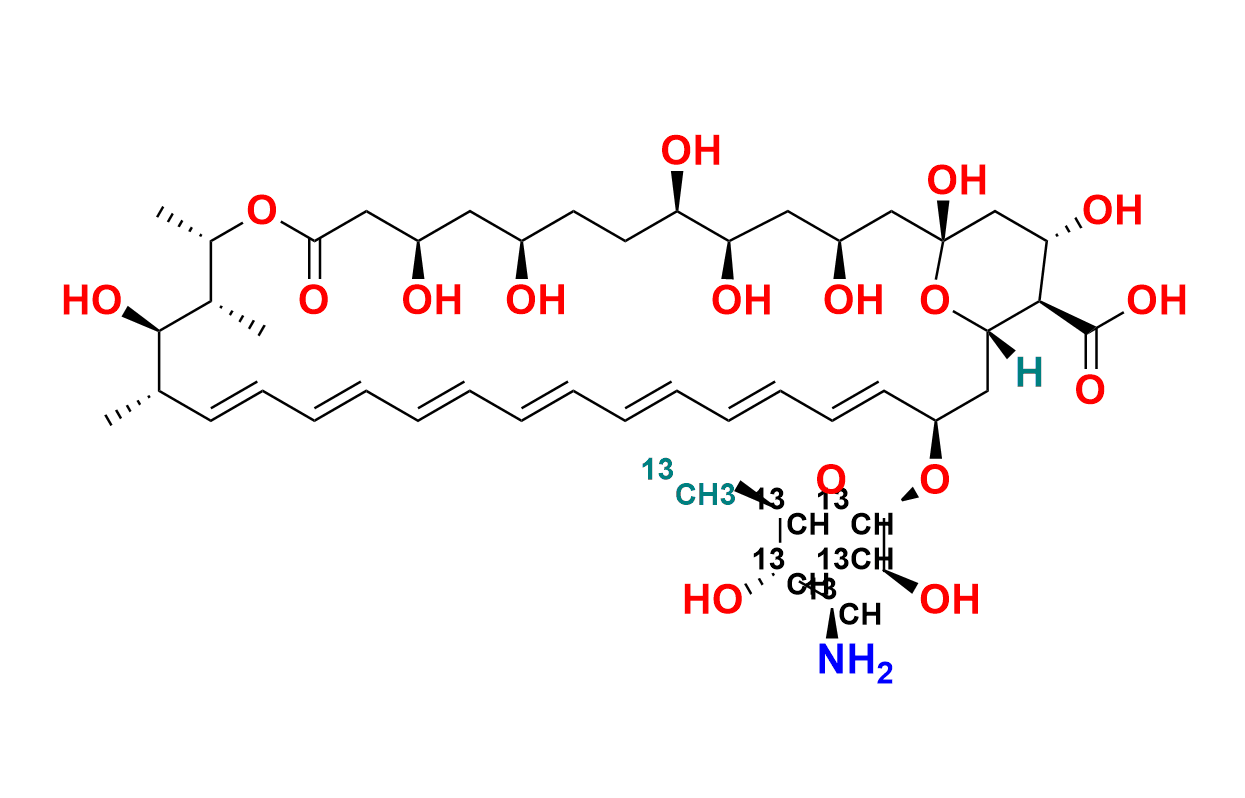 Amphotericin B-13C6