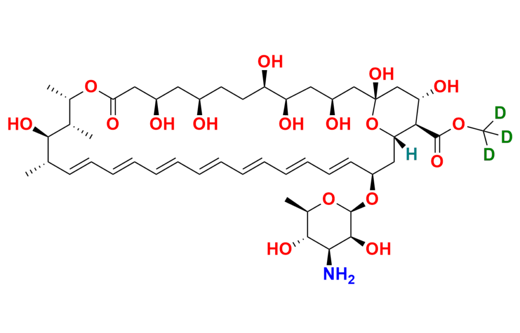 Amphotericin B-13C6