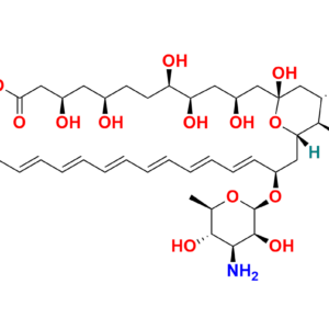 Amphotericin B-13C6