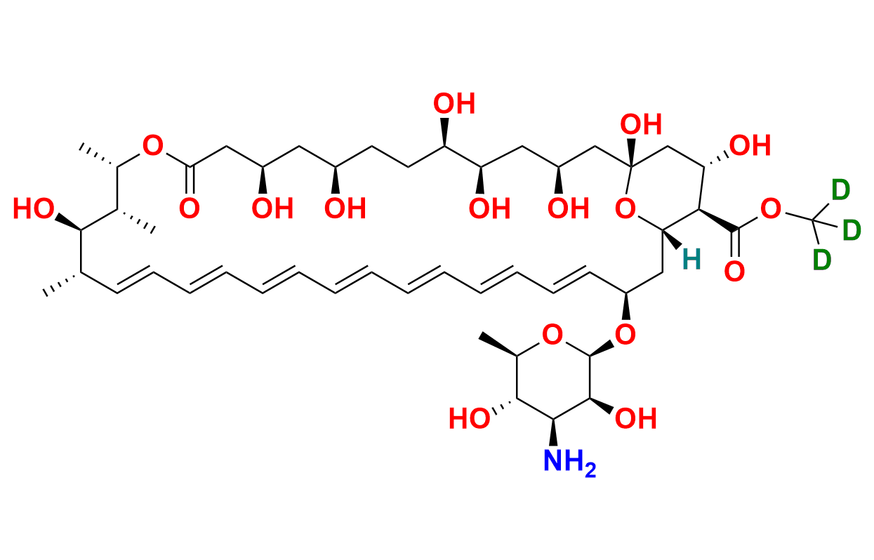 Amphotericin B-13C6