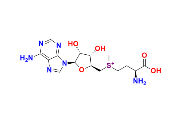 S-Adenosyl-L-Methionine
