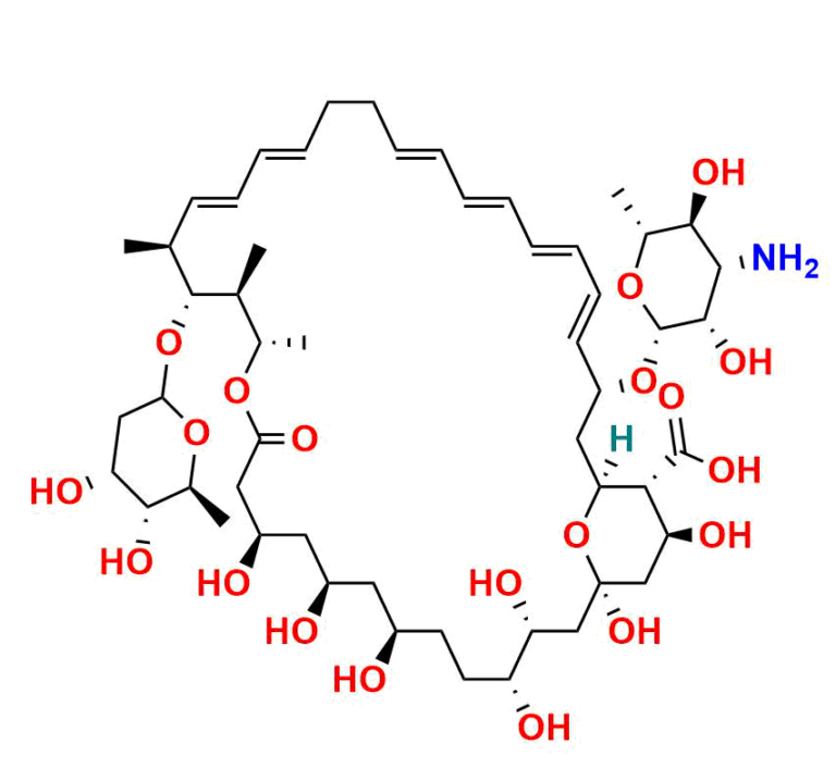 Nystatin DMSO