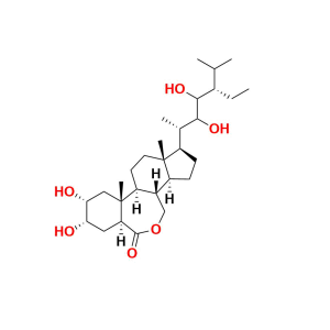 Homobrassinolide Homobrassinolide