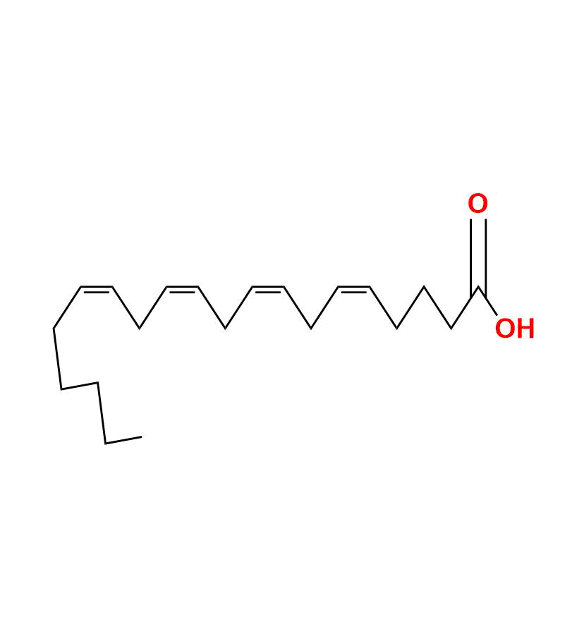 Arachidonic Acid