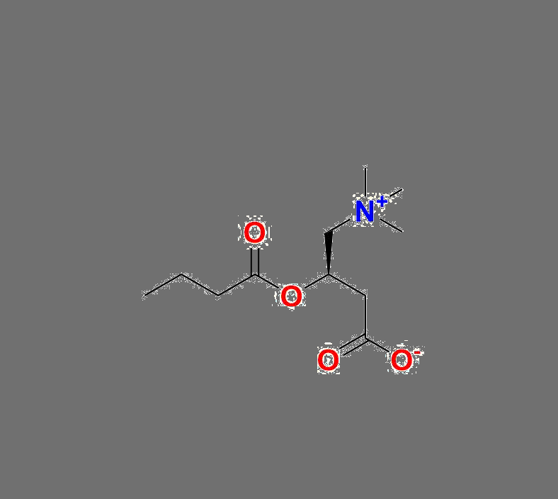 Butyryl-L-Carnitine