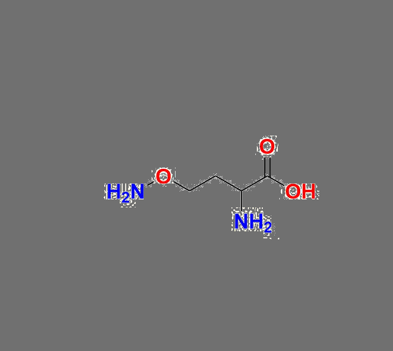 DL-Carnitine