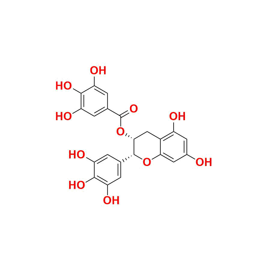 Epigallocatechin Gallate