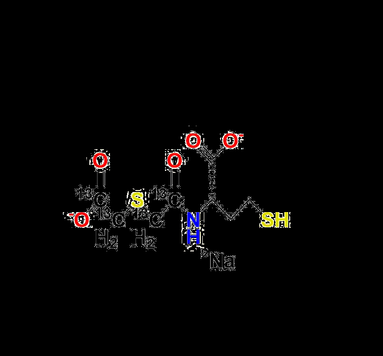 Erdosteine M1 13C4 Disodium Salt