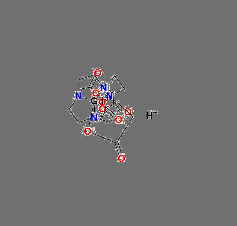 Gadoteric Acid
