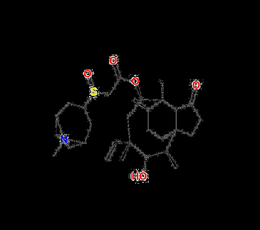 Retapamulin Impurity 5