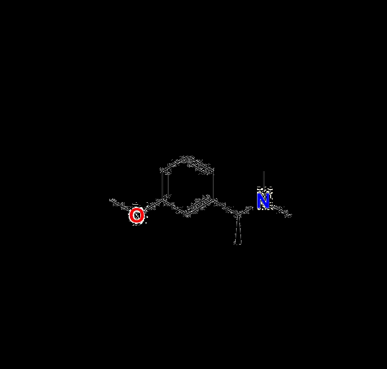 Rivastigmine Hydrogen Tartrate EP Impurity F