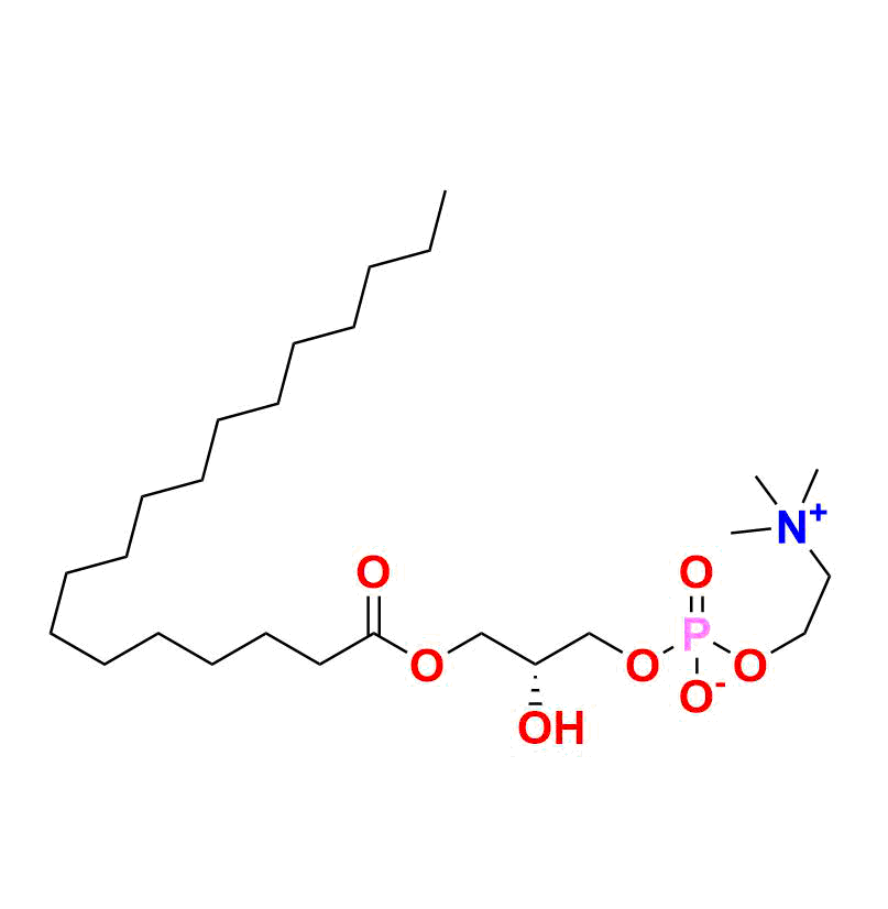 Stearoyl Lysophosphatidylcholine